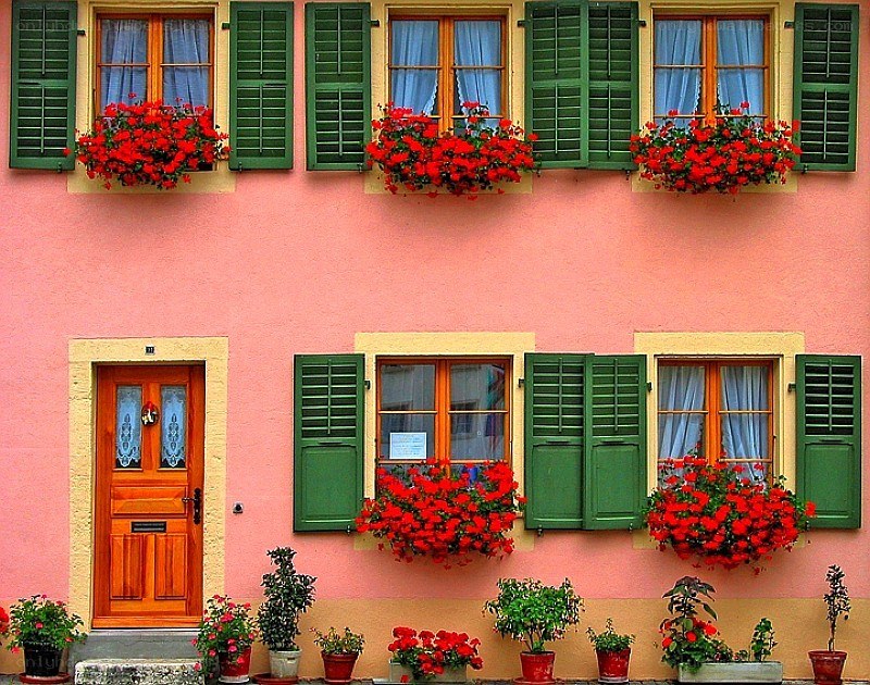 colorful house with flower boxes