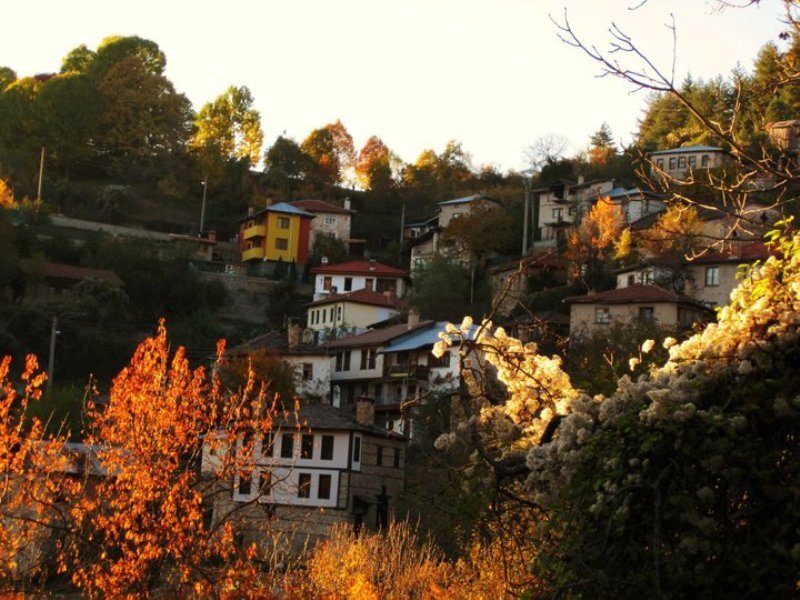 Colorful Houses on Hillside