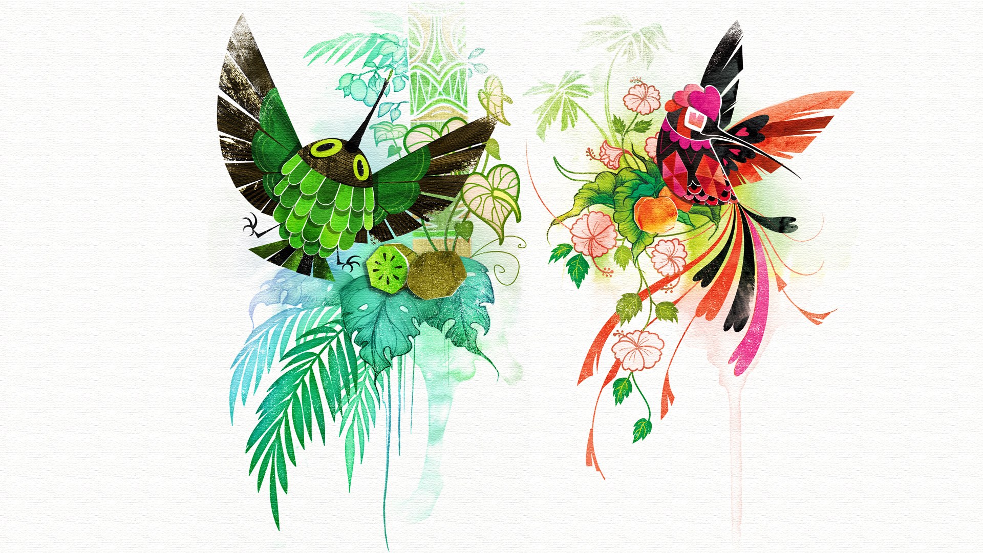 colorful hummingbird illustrations