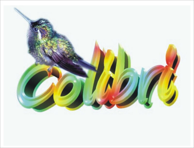 Colorful hummingbird logo