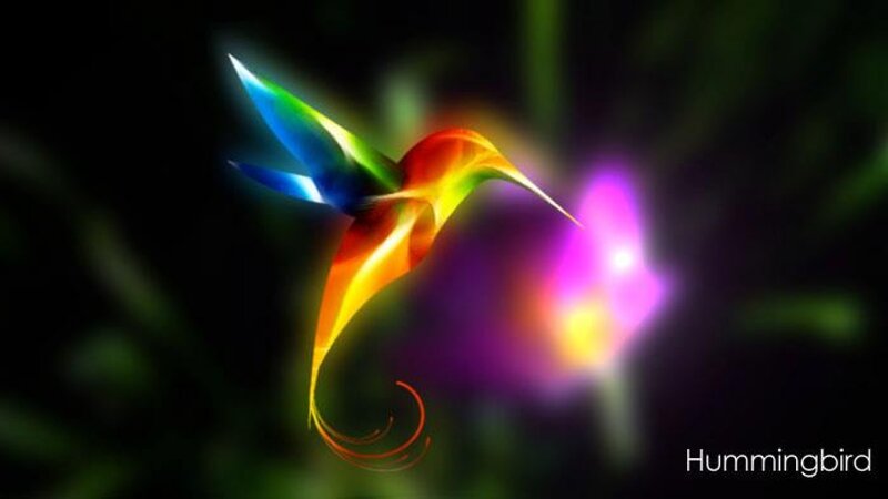 Colorful Hummingbird — Rainbow