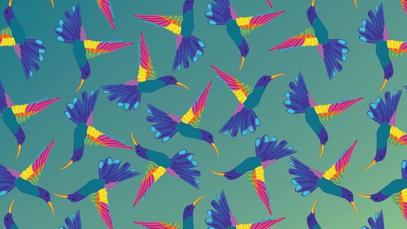Colorful Hummingbirds