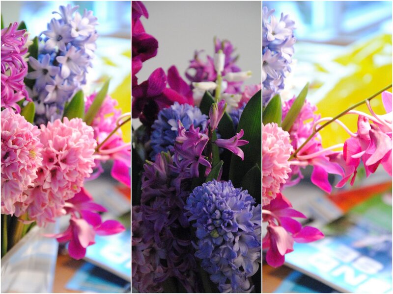 Colorful Hyacinth Bouquet — Pink