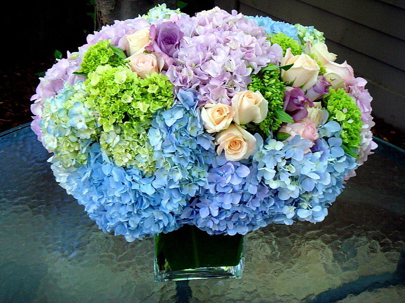 Colorful Hydrangea Bouquet