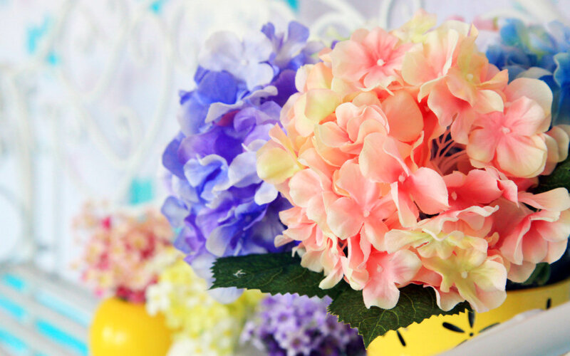 Colorful Hydrangea Flowers — Pink, Calm, Photograph