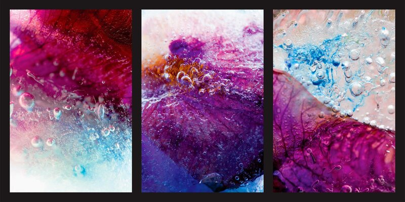 Colorful ice and flower abstracts