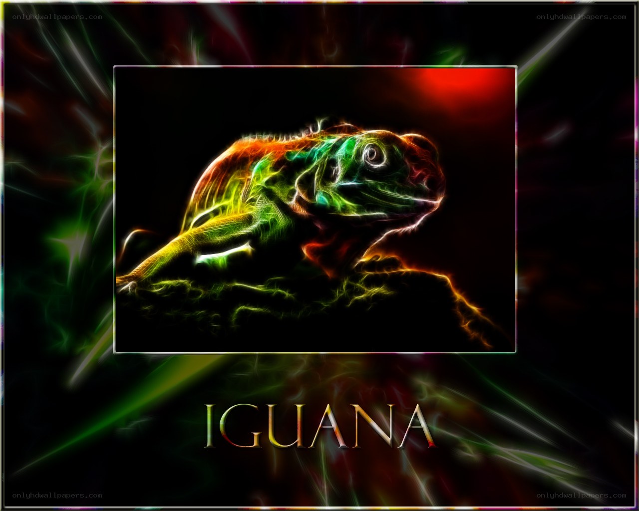 Colorful iguana digital art