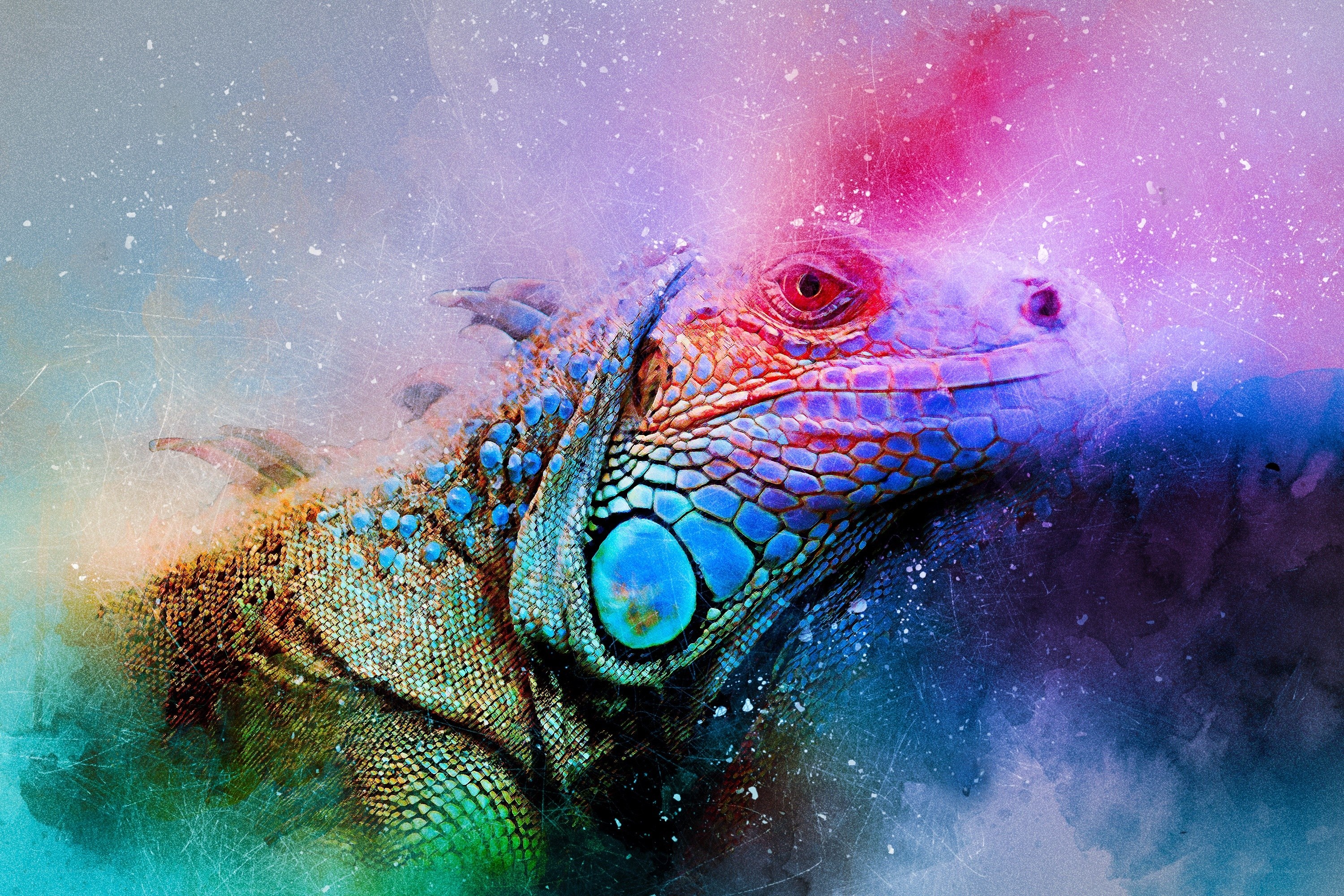 Colorful iguana portrait