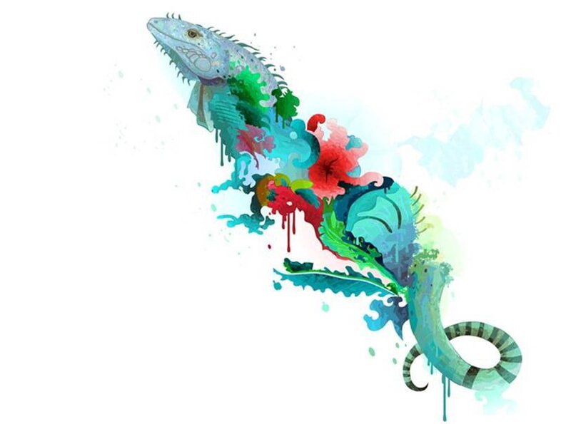 colorful iguana watercolor art