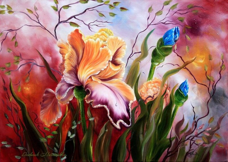 Colorful Iris Flowers — Red