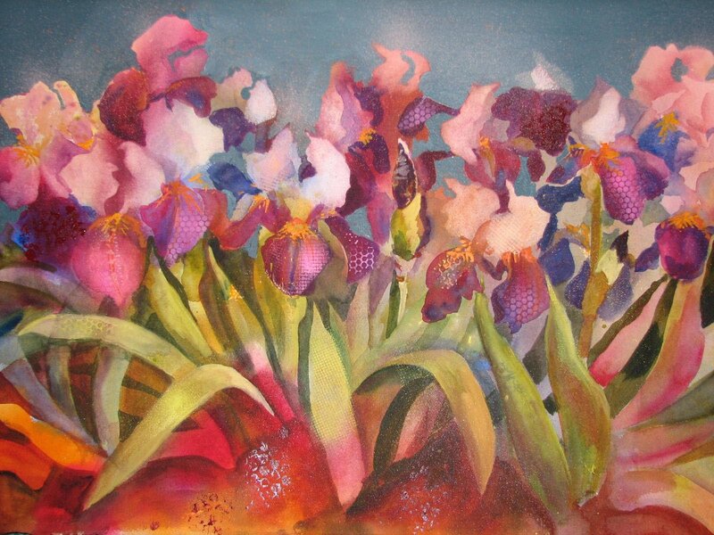 Colorful Iris Flowers