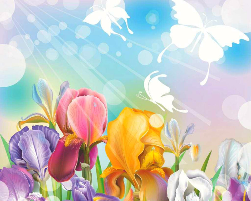 Colorful Irises and Butterflies