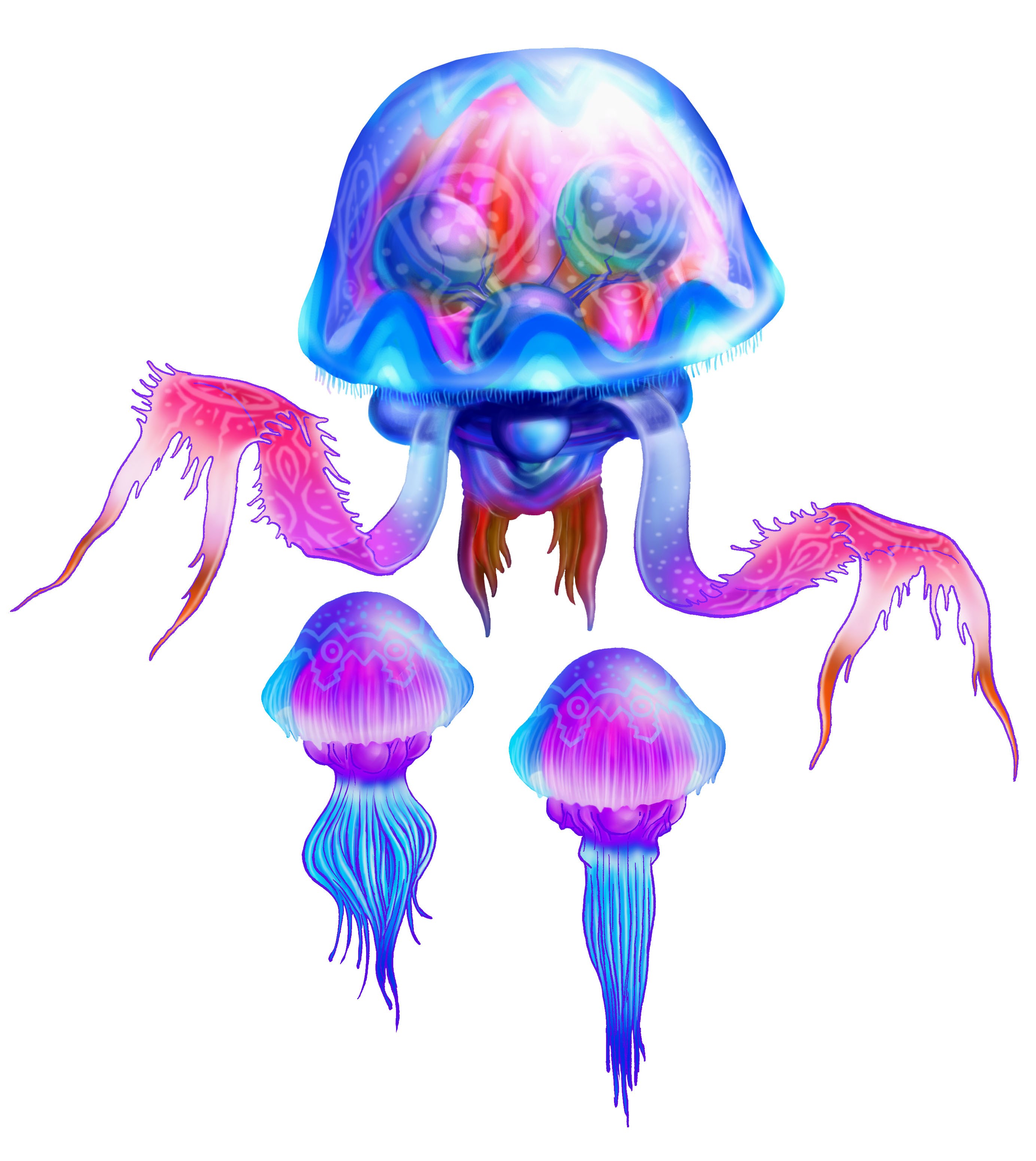 colorful jellyfish creatures