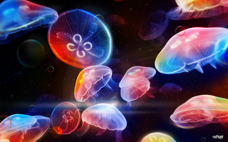Colorful jellyfish in dark water