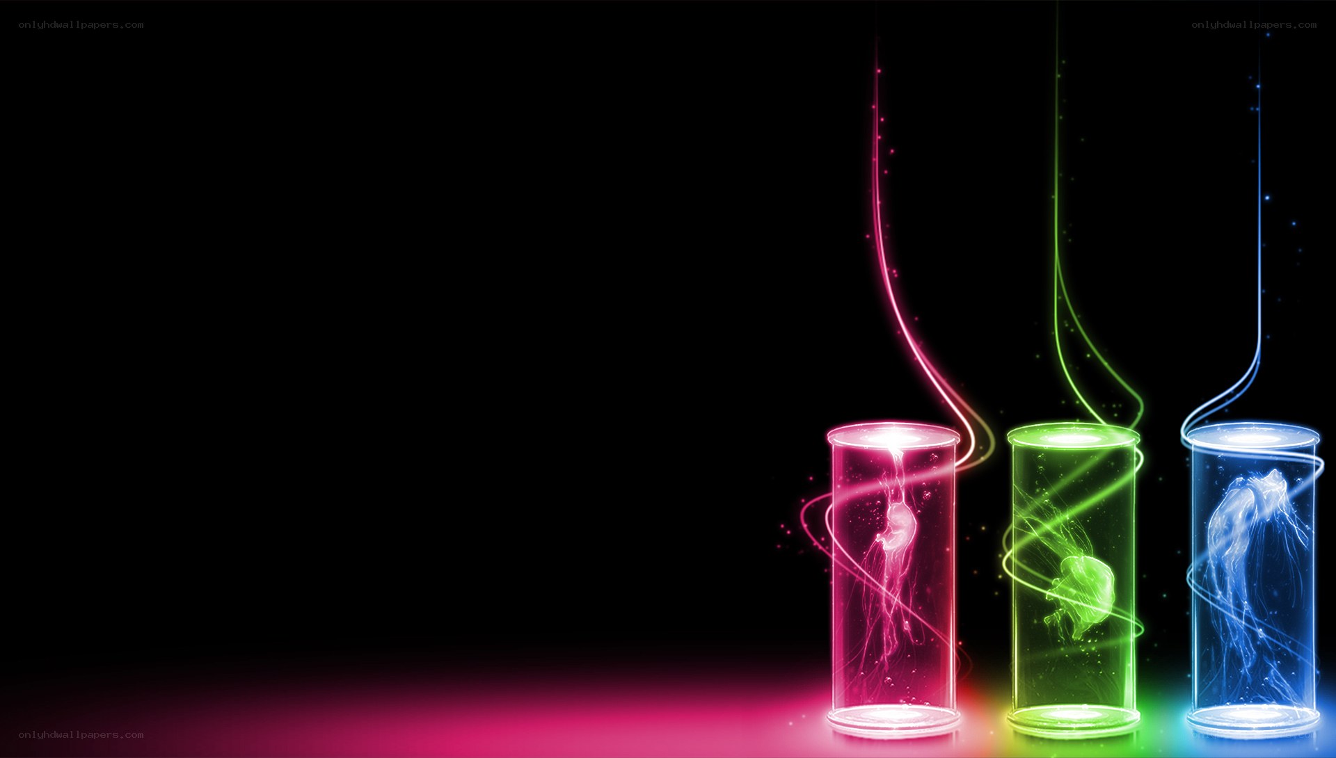 colorful jellyfish in tubes