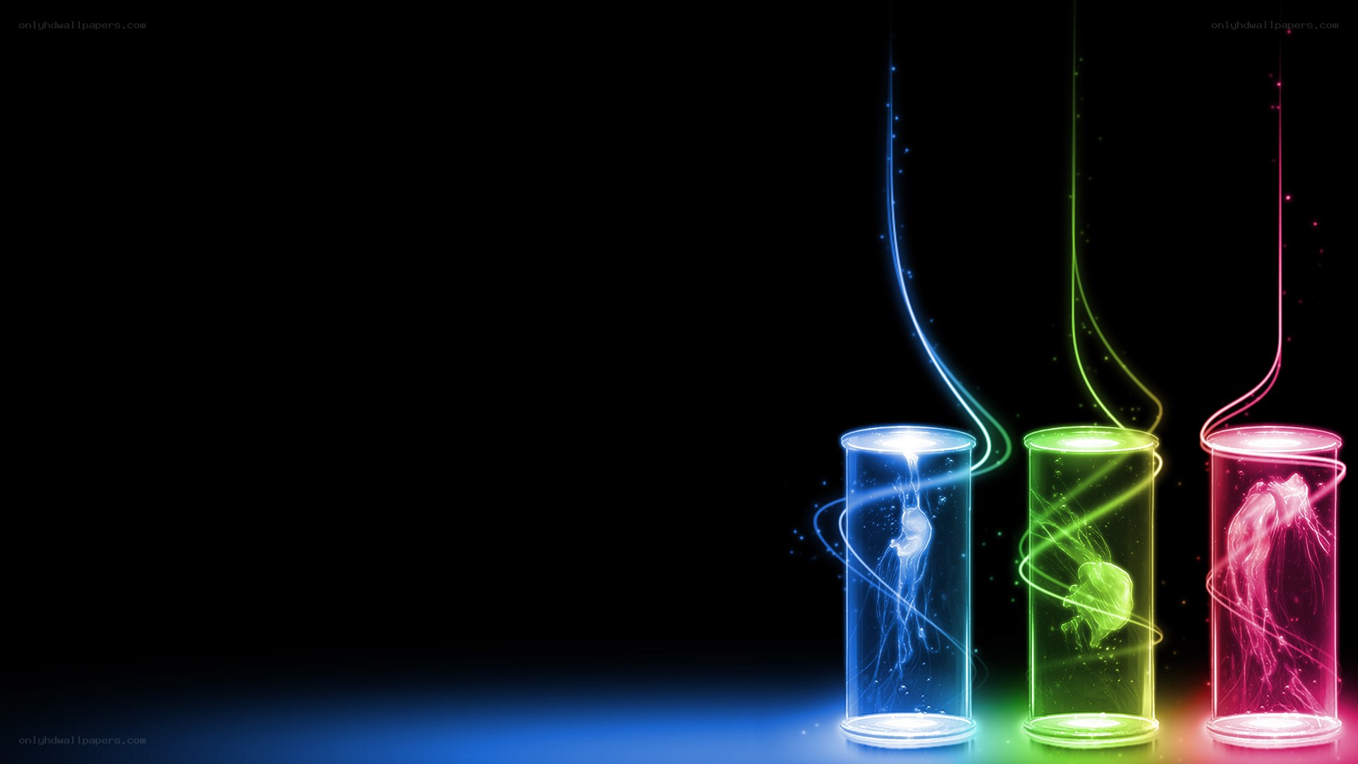 Colorful jellyfish in tubes