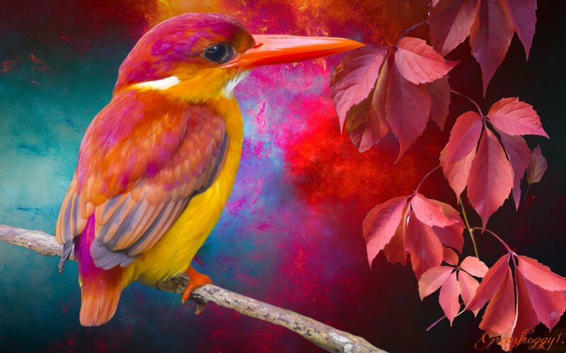 Colorful Kingfisher Bird — Red