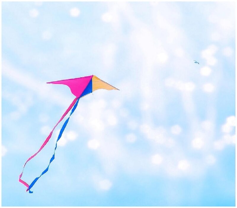 Colorful Kite Flying