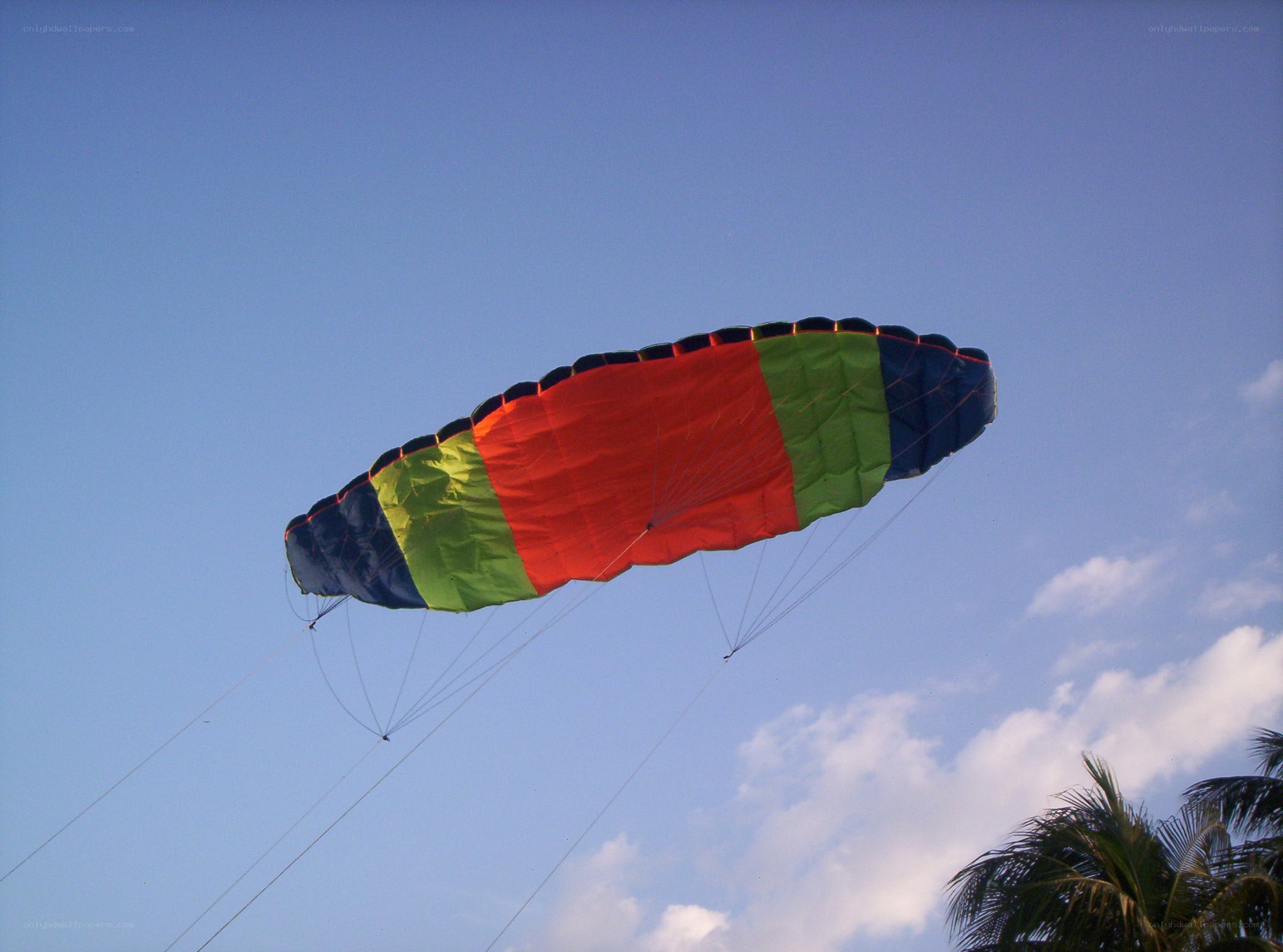 Colorful kite in the sky