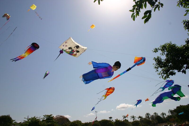 Colorful kites flying in the sky