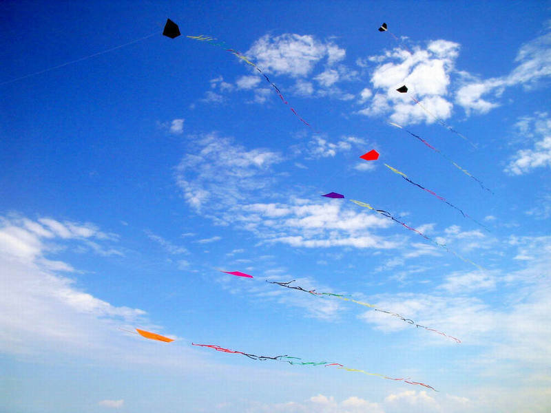 Colorful kites flying in the sky