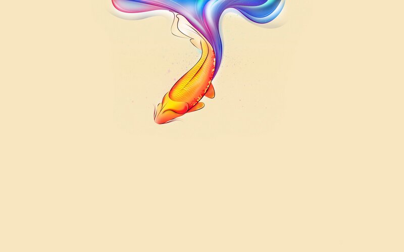 Colorful koi fish art