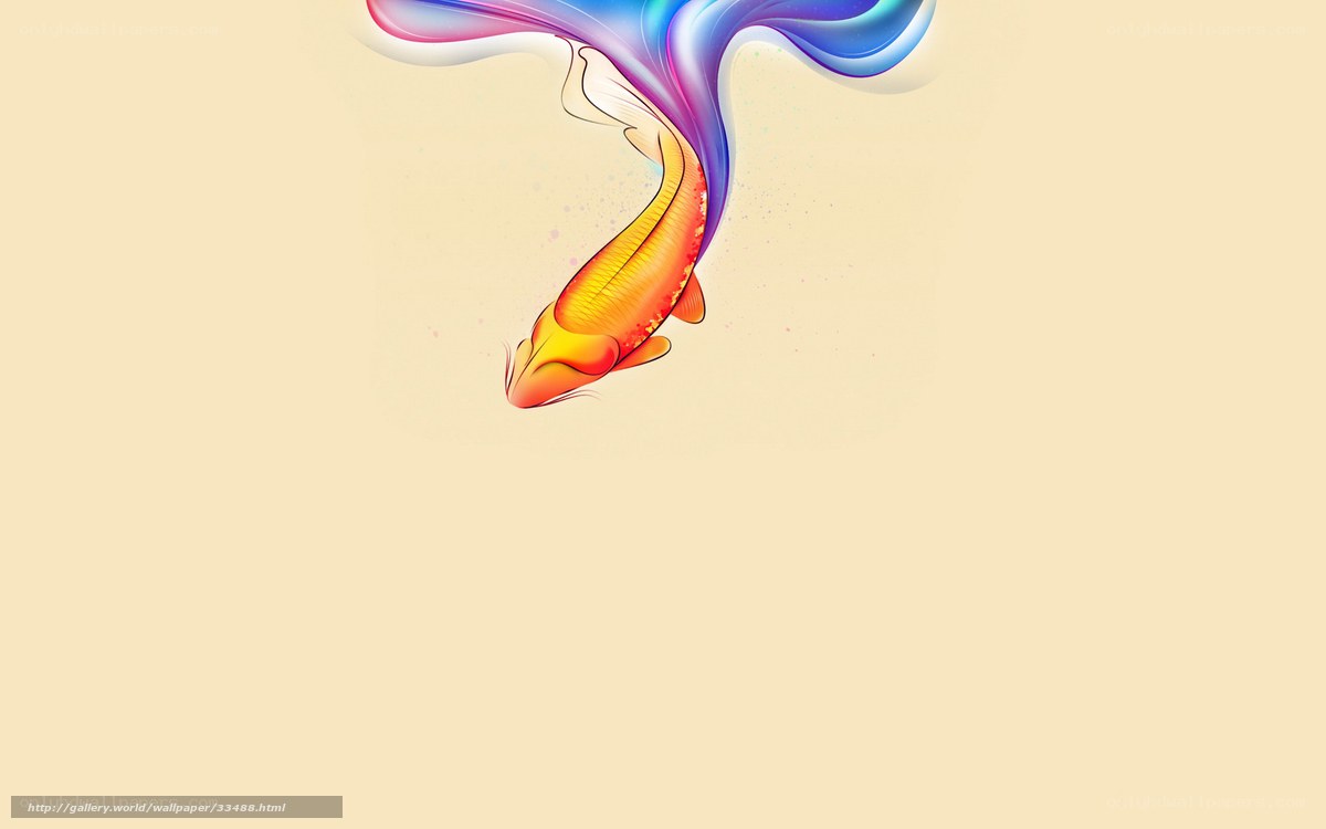 Colorful koi fish art