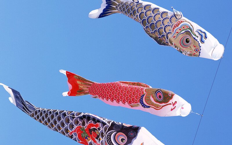 Colorful koi fish kites in the sky