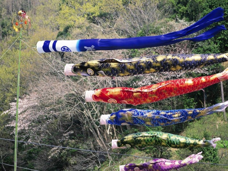 Colorful Koi Fish Kites