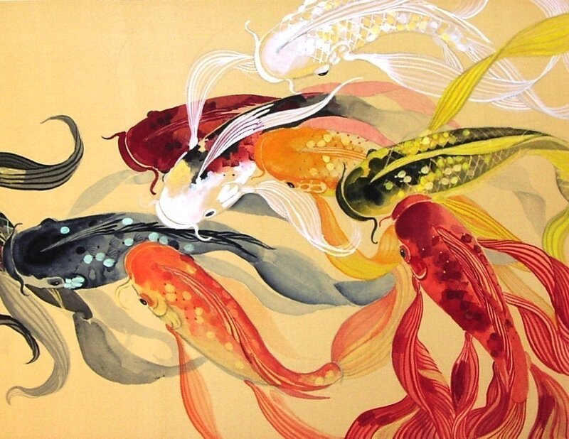 Colorful Koi Fish