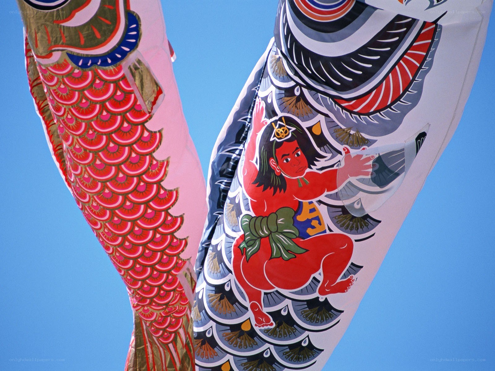 Colorful koinobori fish flags