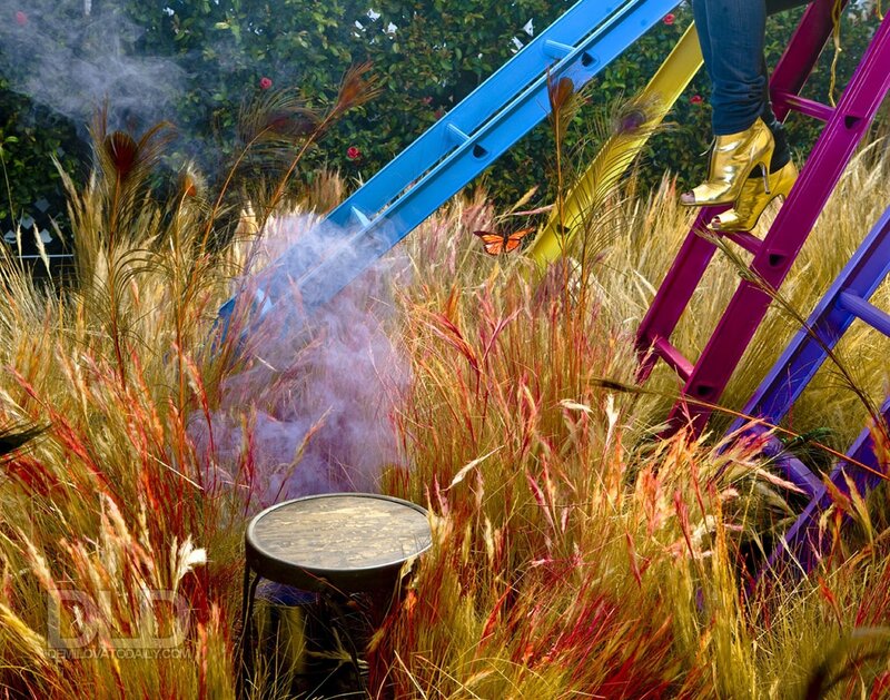 Colorful ladders in a grassy scene