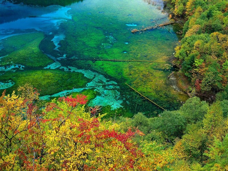 Colorful lake in autumn forest