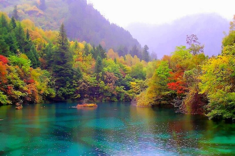 Colorful Lake in Forest