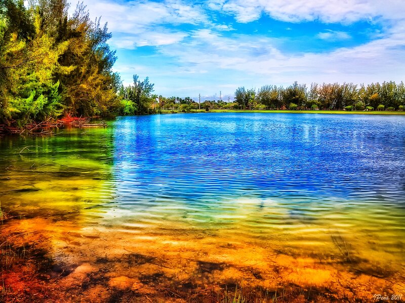 Colorful Lake with Trees — Blue