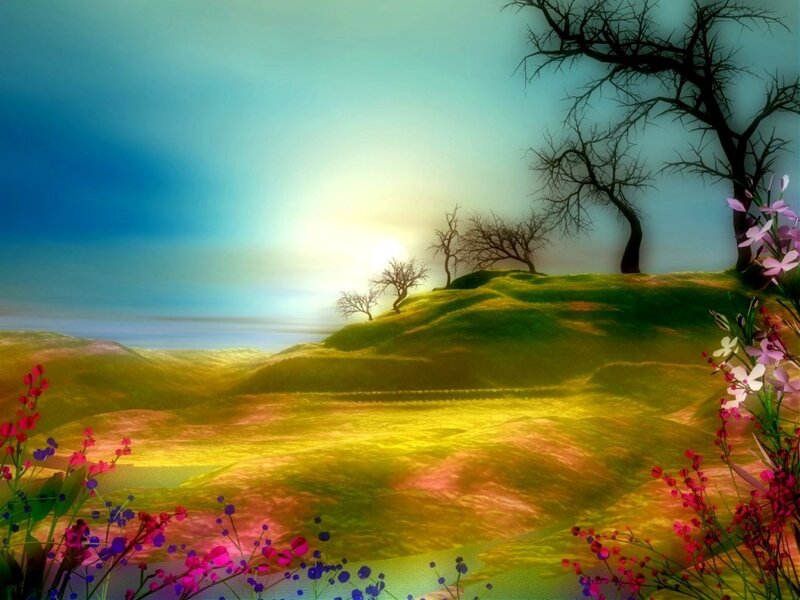 Colorful landscape with flowers