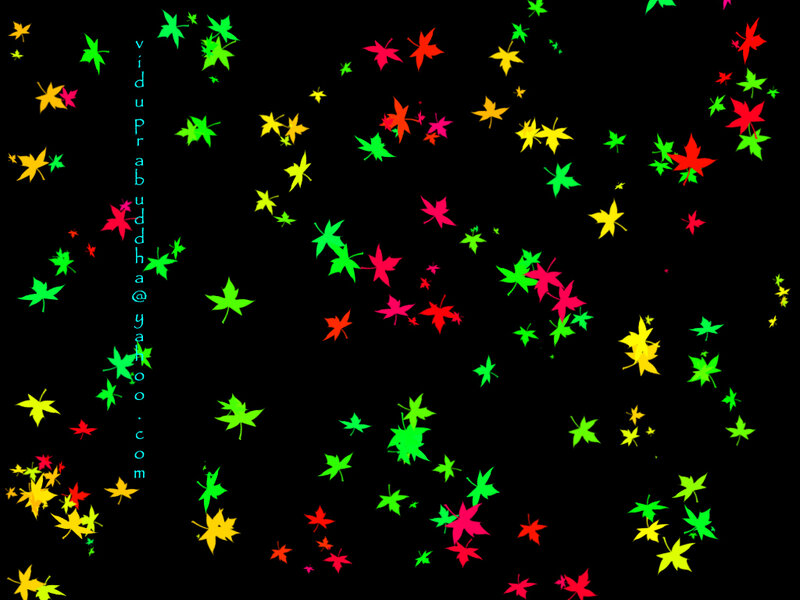colorful leaf animation