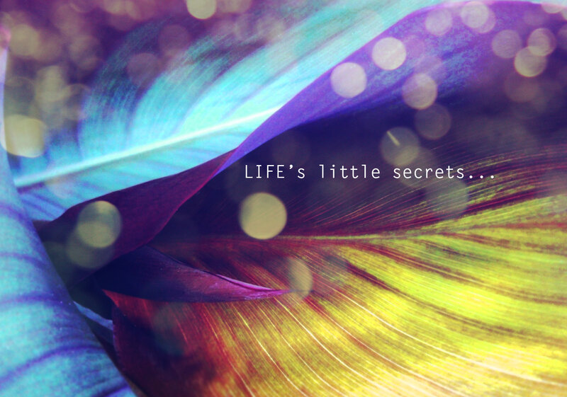Colorful Leaf Close-up — Purple