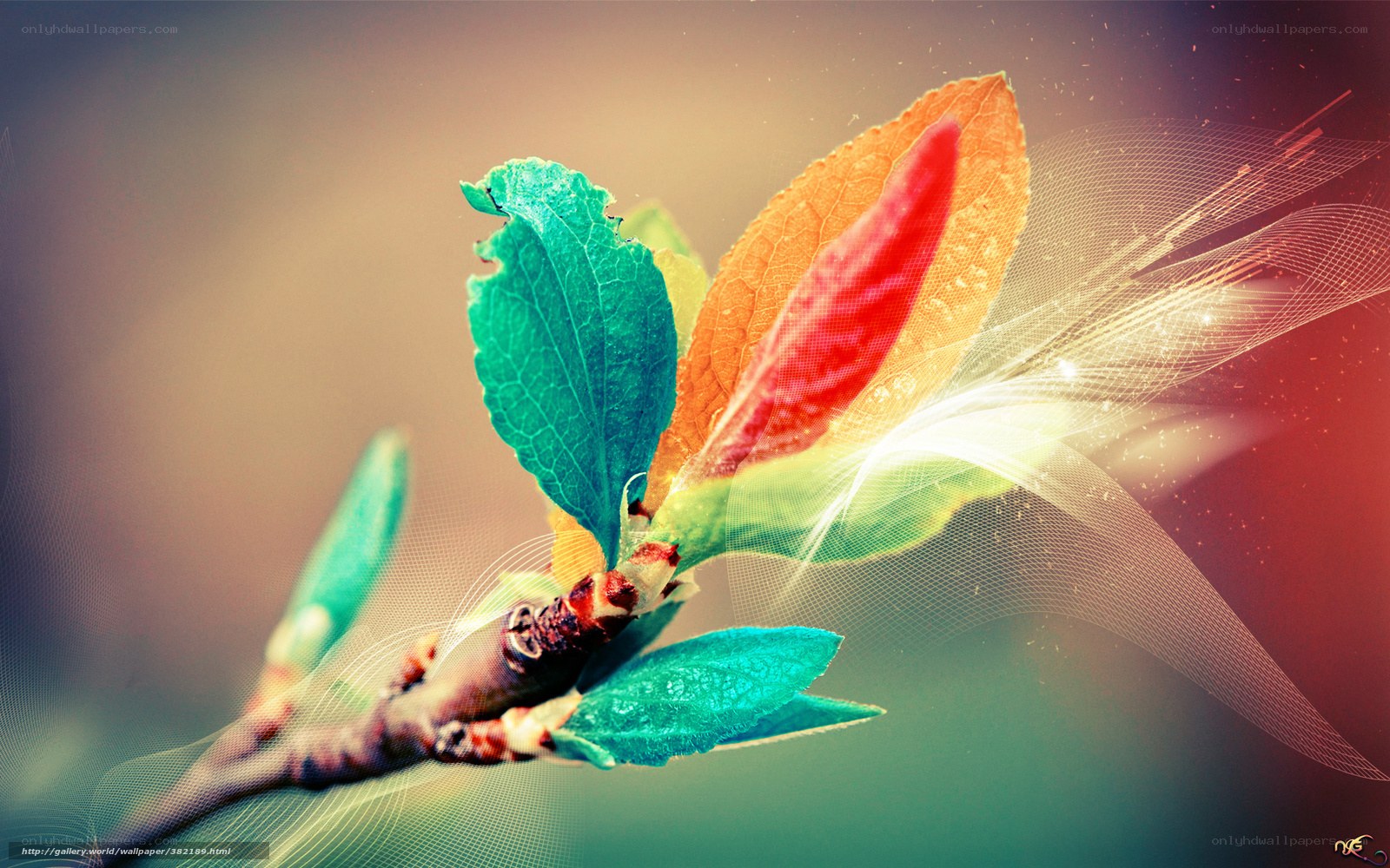 Colorful leaf on a branch