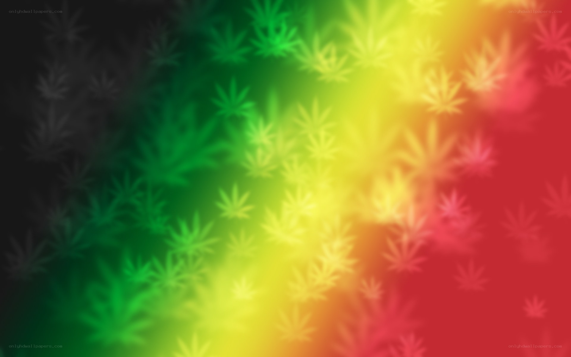colorful leaf pattern background