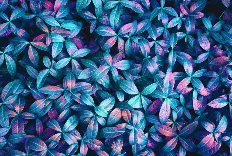 Colorful Leaf Pattern — Blue, Vibrant, Digital Art
