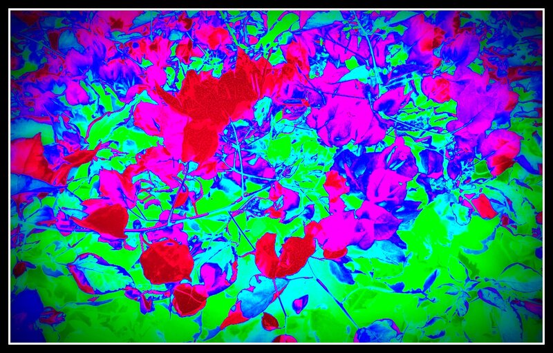 Colorful Leaf Pattern — Green, Vibrant