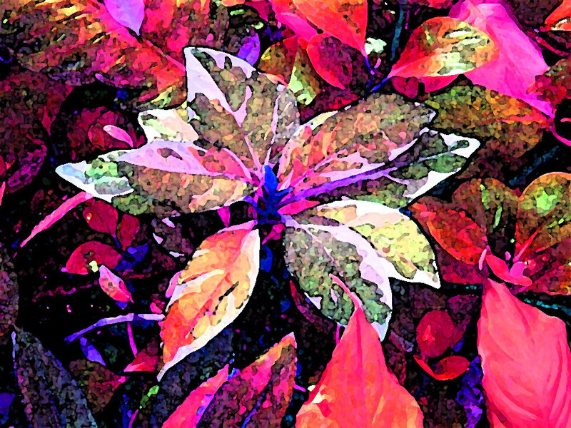 Colorful Leaf Pattern — Pink
