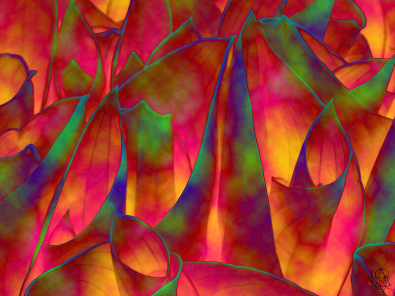 Colorful Leaf Patterns