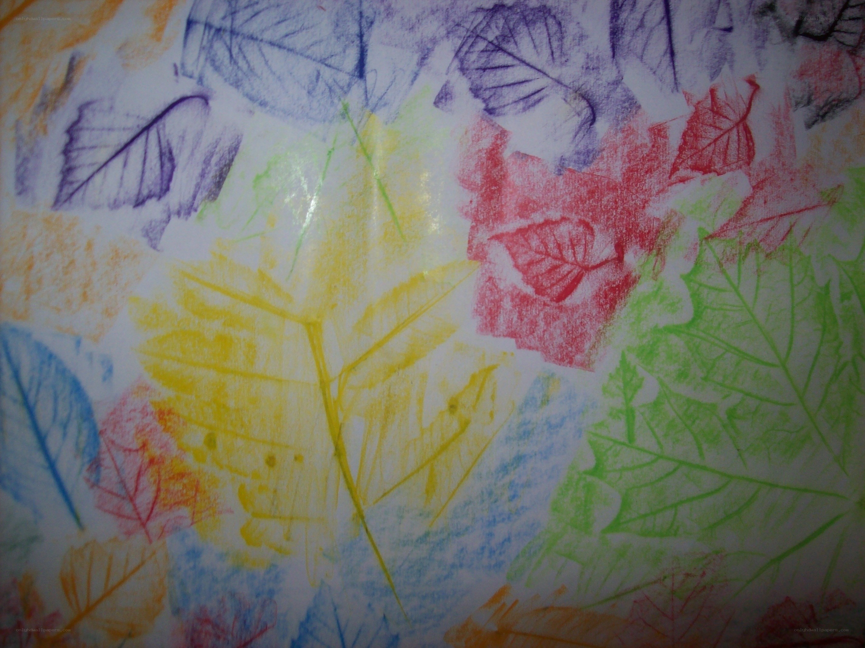 Colorful leaf print art