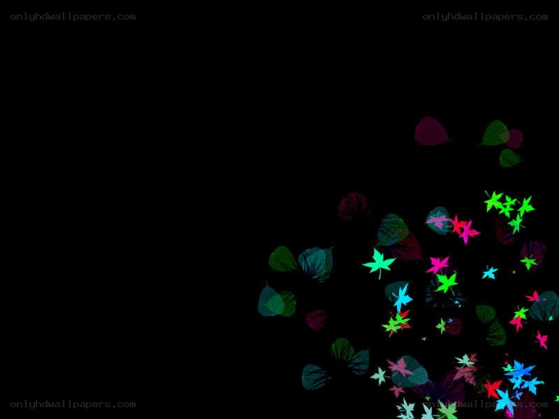 colorful leaf shapes on black