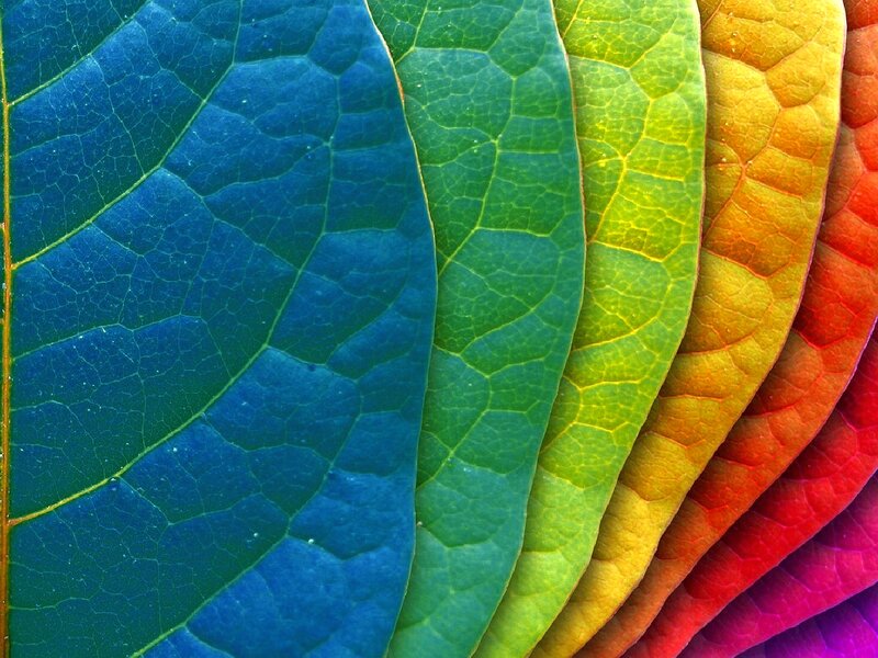 Colorful Leaf Texture — Blue