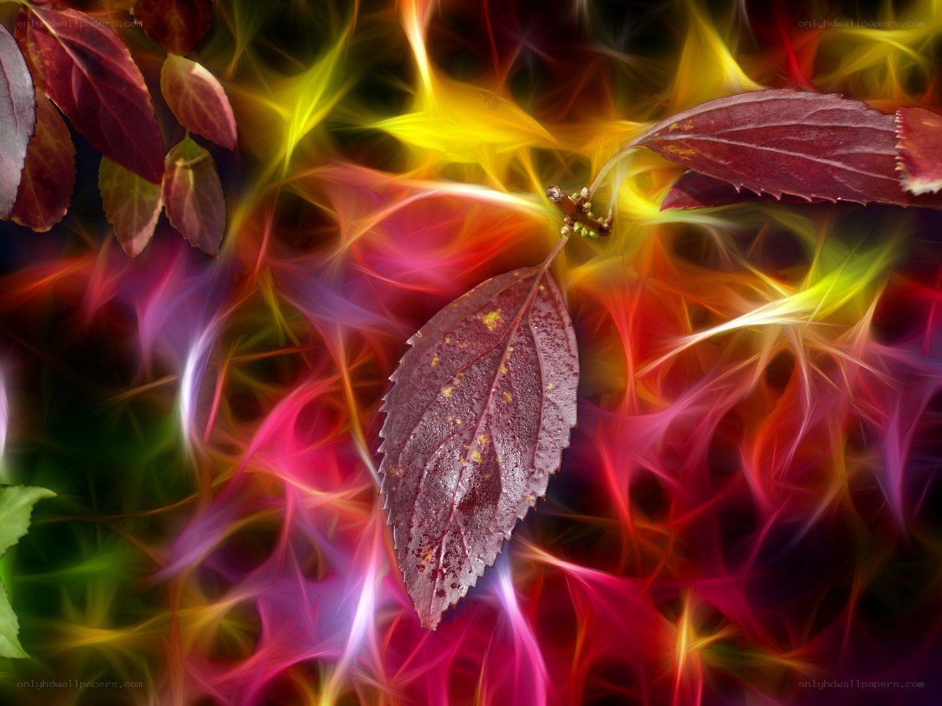 Colorful leaf with energy effect