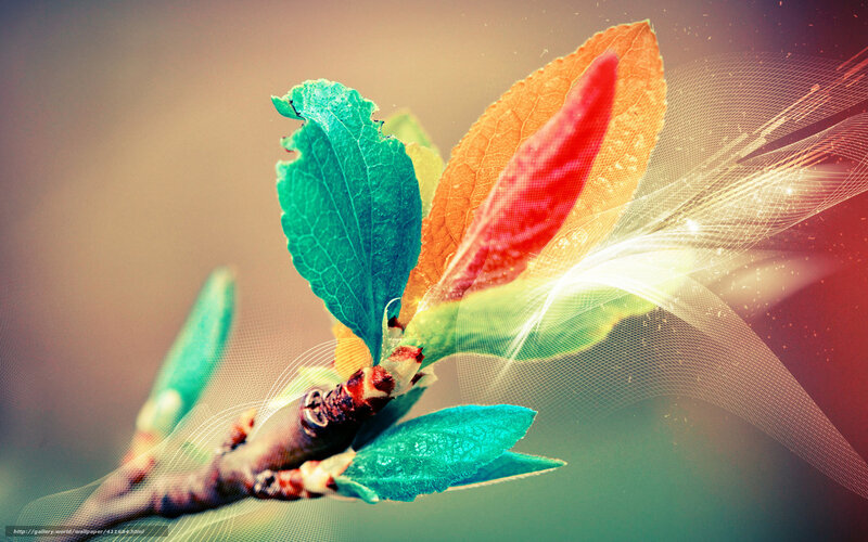 Colorful leaf with light effect