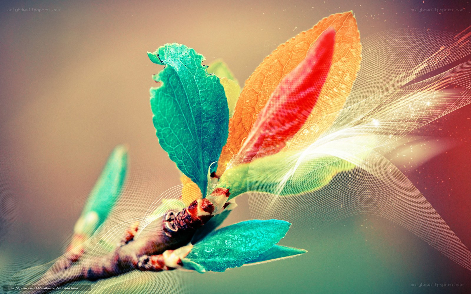 Colorful leaf with light effect